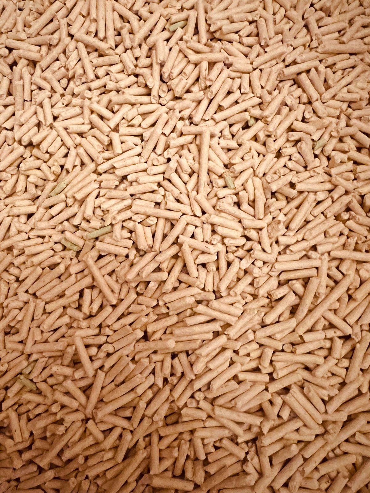 生物质颗粒燃料成品特写